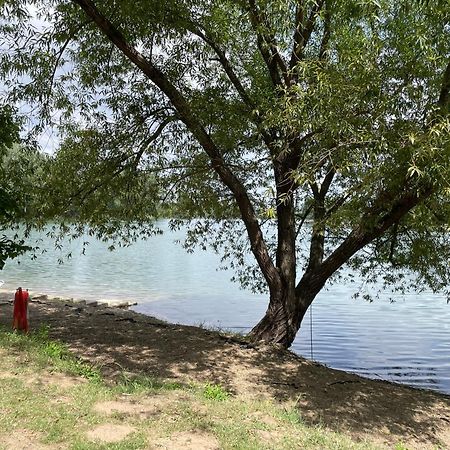 Camping Oaza Bela Crkva  Εξωτερικό φωτογραφία