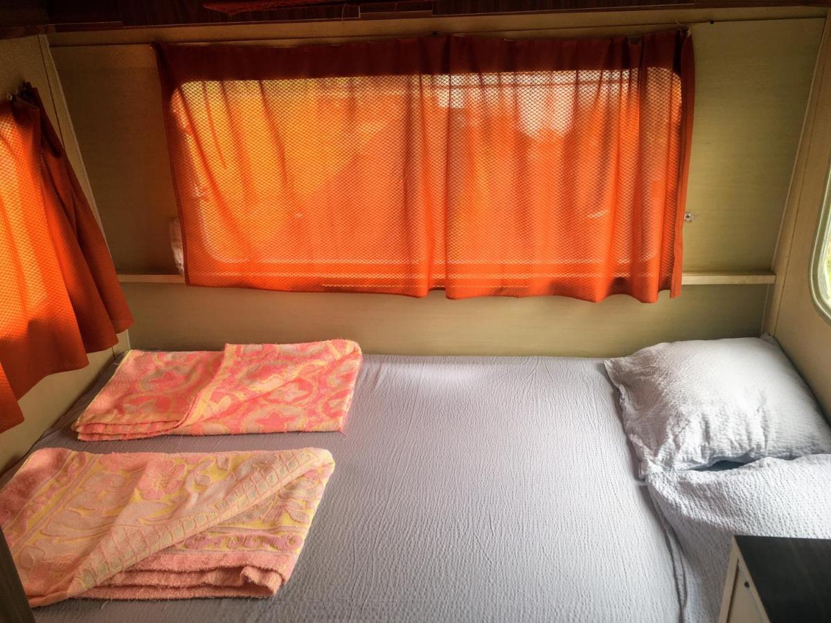 Camping Oaza Bela Crkva  Εξωτερικό φωτογραφία