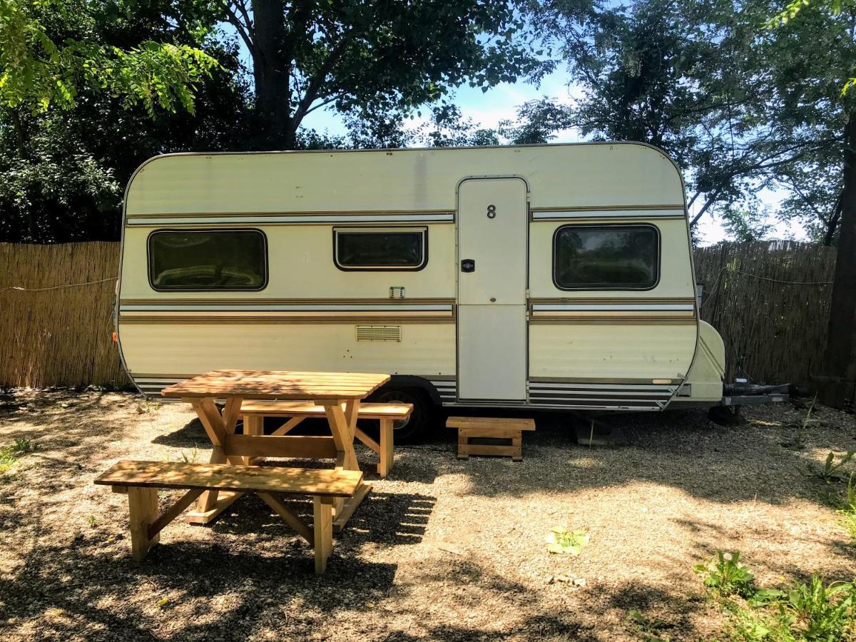 Camping Oaza Bela Crkva  Εξωτερικό φωτογραφία