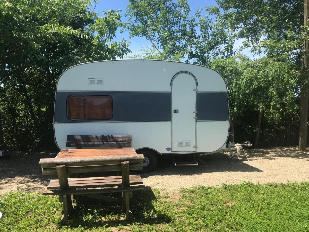 Camping Oaza Bela Crkva  Εξωτερικό φωτογραφία