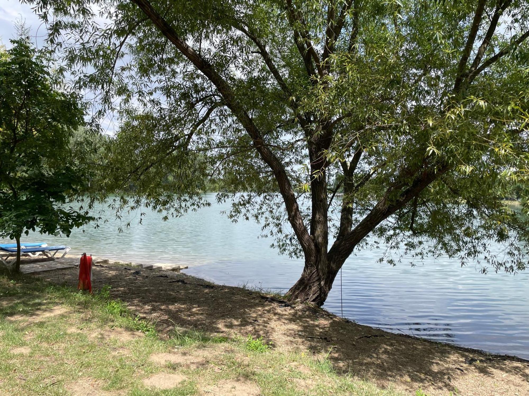 Camping Oaza Bela Crkva  Εξωτερικό φωτογραφία