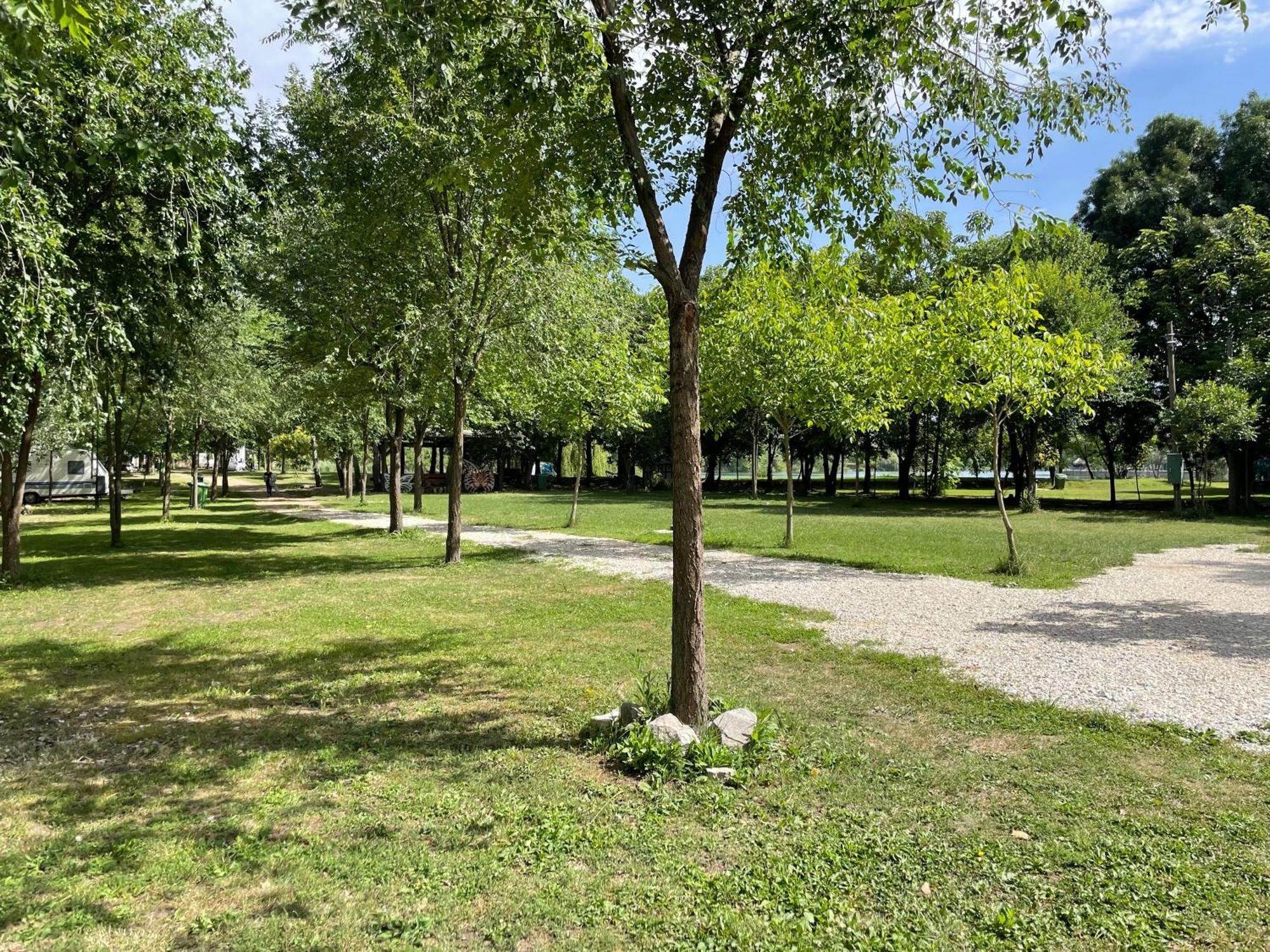 Camping Oaza Bela Crkva  Εξωτερικό φωτογραφία