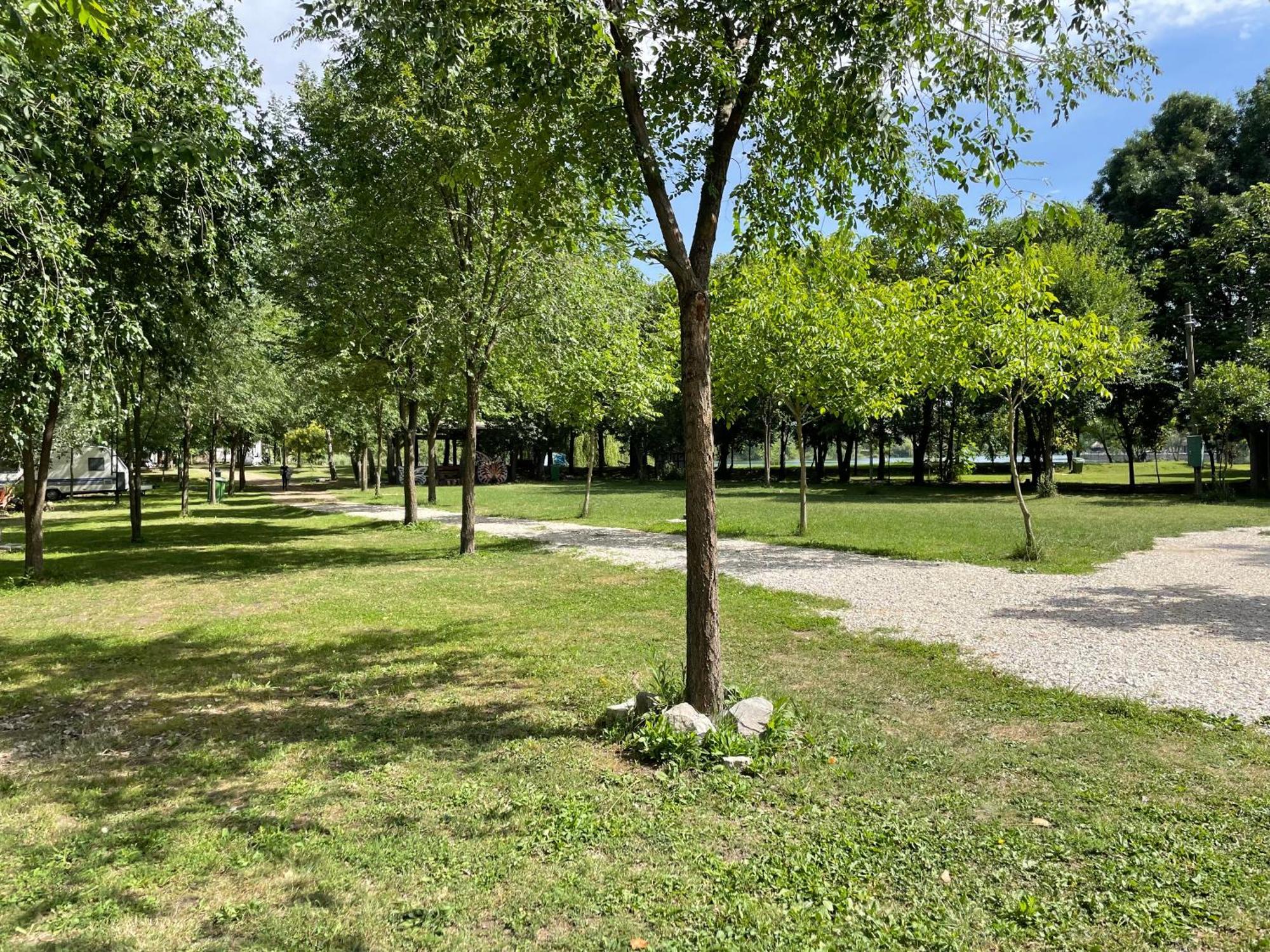 Camping Oaza Bela Crkva  Εξωτερικό φωτογραφία